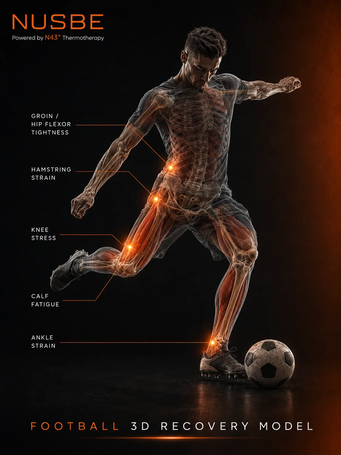 Football recovery model showing groin, hamstring, knee, calf and ankle load areas